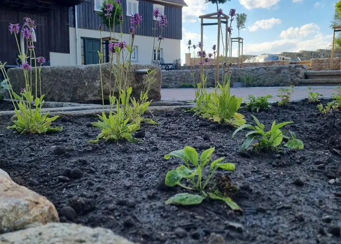 Zur Wilhelmine - Landgut 1779 *